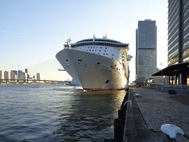 Cruiseschip ms Independence of the Seas van Royal Caribbean Cruises Ltd. aan de Cruise Terminal Rotterdam